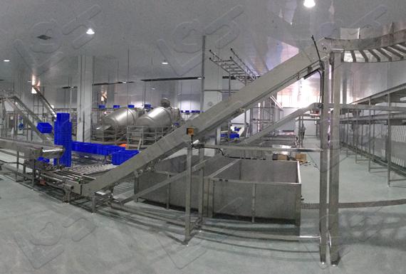 食品整廠輸送線