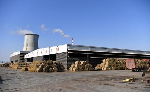 長春突泉縣：秸稈循環利用，綠色生態新篇章