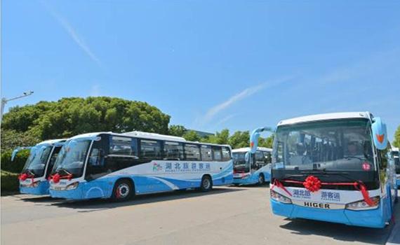 長春首批50輛蘇州金龍純電大巴交付！湖北武漢通勤客運綠色發(fā)展提質(zhì)升級