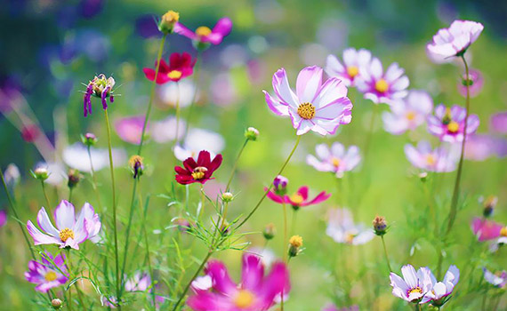 勞動節(jié)致敬最可愛的人！