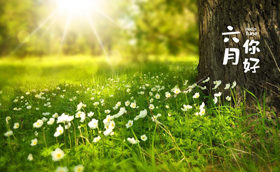 安陽六月正當萬物崢嶸，揮灑汗水砥礪前行