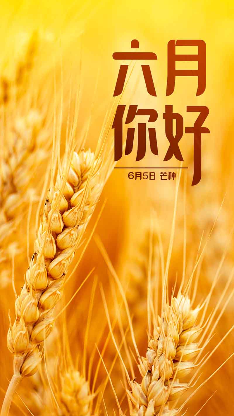 六月正當萬物崢嶸，揮灑汗水砥礪前行